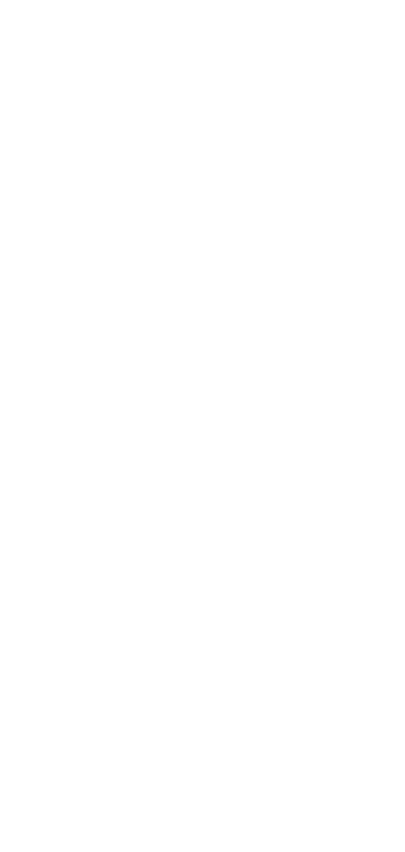 Irie Weekend Logo